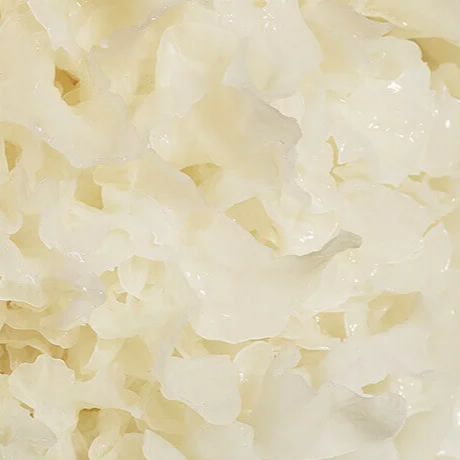 Snow Mushroom Extract