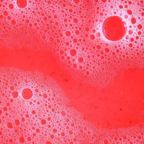 Strawberry Fruit & Seed Extract