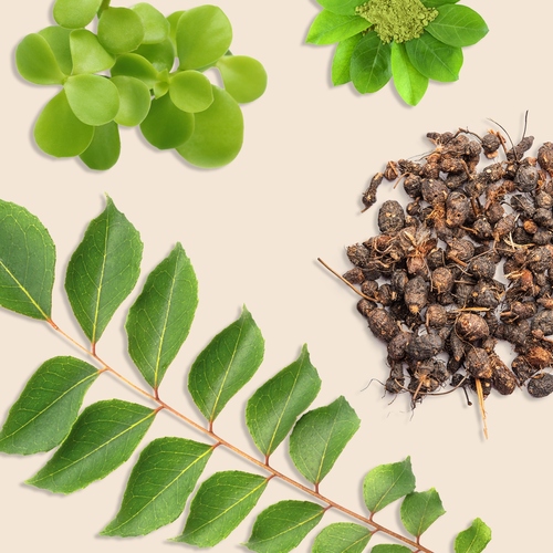 Indian Botanicals