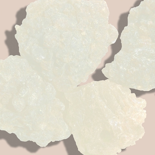 Ceramides