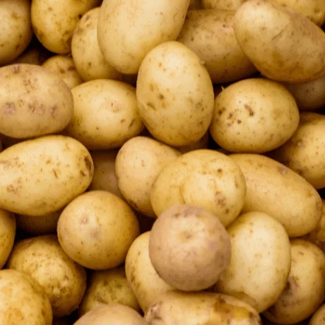 Yukon Gold Potatoes