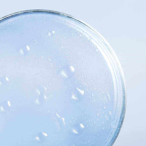 Salicylic Acid
