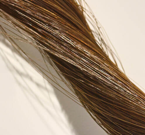 Light Brown Hair