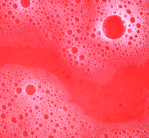 BERRIES: BOTTLED.