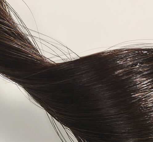 Dark Brown Hair