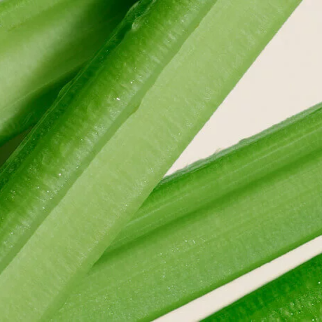 Celery Seed Extract