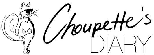 Cd logo