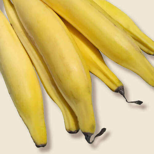Plantain Extract