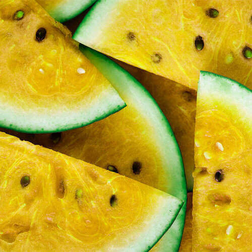Kalahari Melon Seed Oil