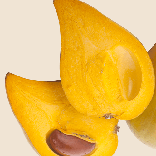 Lucuma Fruit