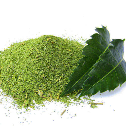 Neem Leaf Powder