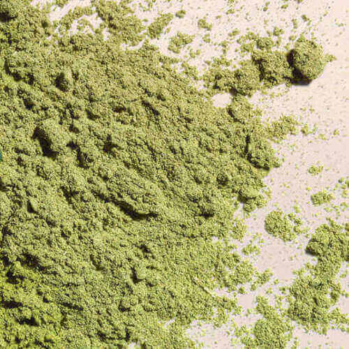 Green Tea