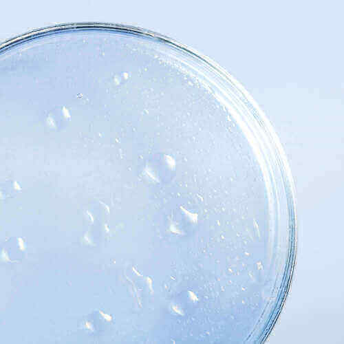 Salicylic Acid