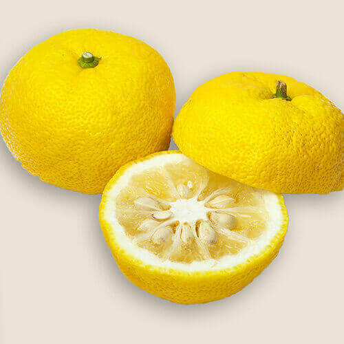Yuzu Extract
