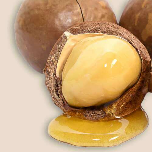 Macadamia Oil