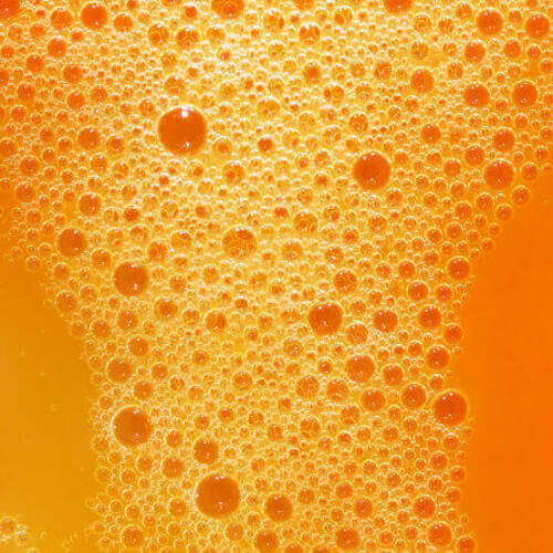 Papaya Extract
