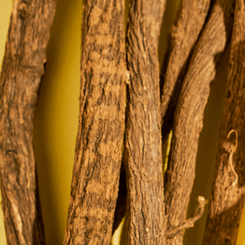 Licorice Root Extract