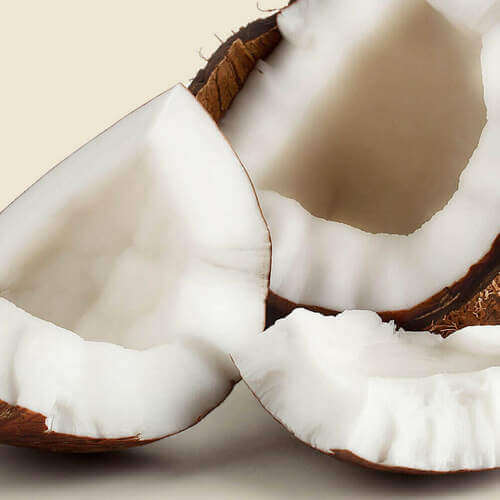 Coconut Extracts