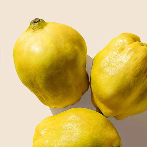Quince Seed Extract