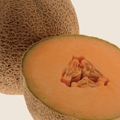 Muskmelon Enzymes